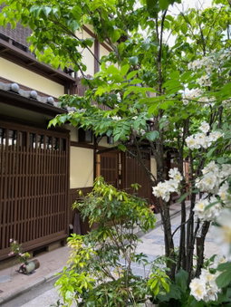 Imakumano Terrace - Dohachi An 道八庵, Kyoto, Japan