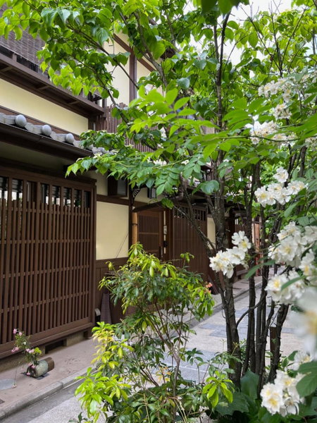 Imakumano Terrace - Dohachi An 道八庵, Kyoto, Japan
