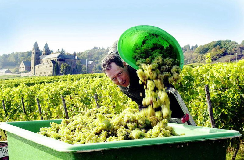 Weingut Magdalenenhof, Rüdesheim am Rhein, Germany