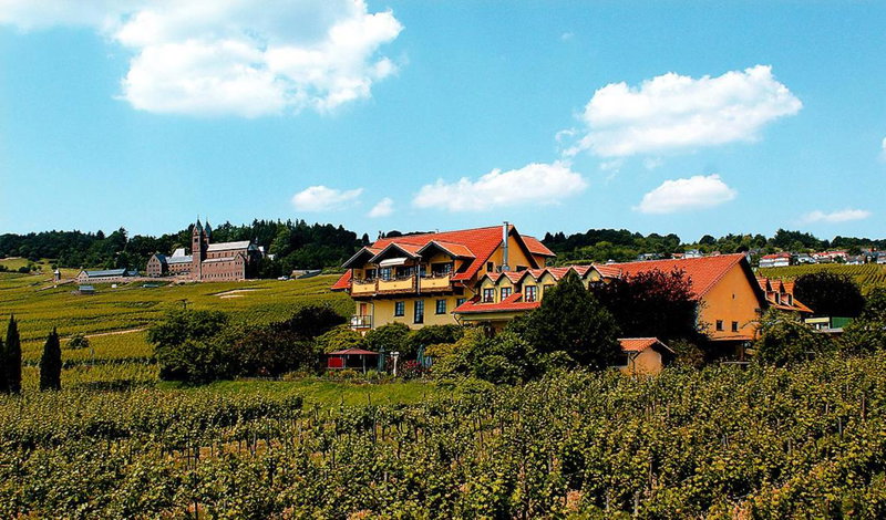 Weingut Magdalenenhof, Rüdesheim am Rhein, Germany