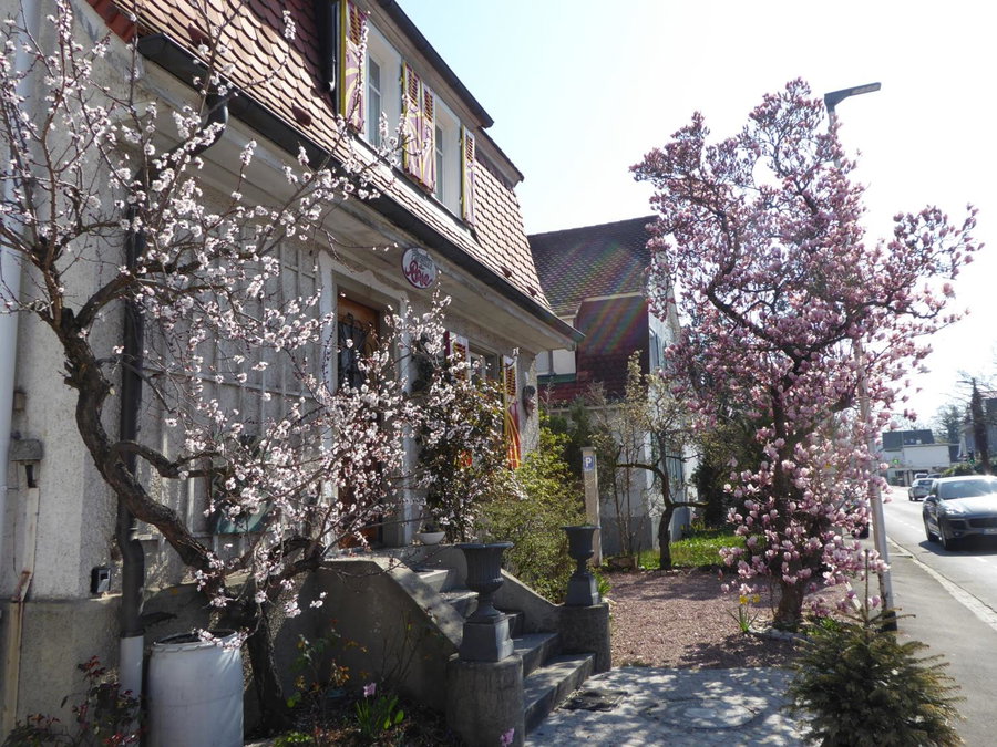 Pension Zur Rose, Weil am Rhein, Germany