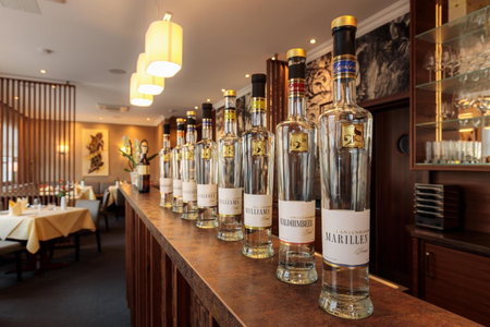 Hotel Schaper, Celle, Germany