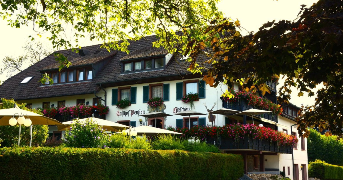 Hotel · Genusshotel Hirschen - Erholung im Grünen (Südschwarzwald), Sallneck