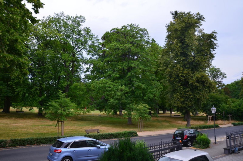 Hotel Villa Kisseleff, Bad Homburg vor der Höhe, Germany
