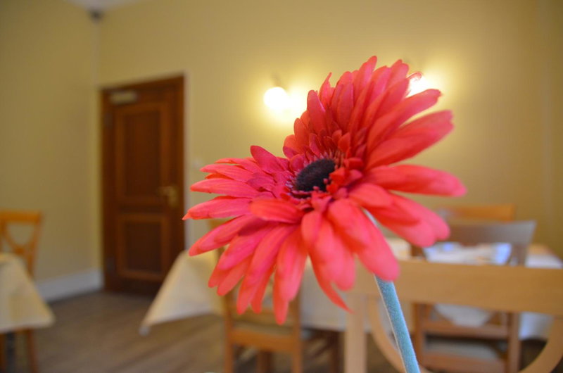 Hotel Villa Kisseleff, Bad Homburg vor der Höhe, Germany