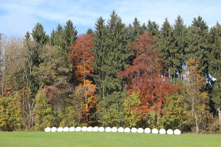 Gasthof Landhotel Hirsch, Ostrach, Germany