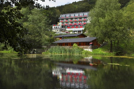 Waldhaus am See, Willingen, Germany