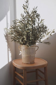 B&B La Casa Pugliese, Foggia, Italy