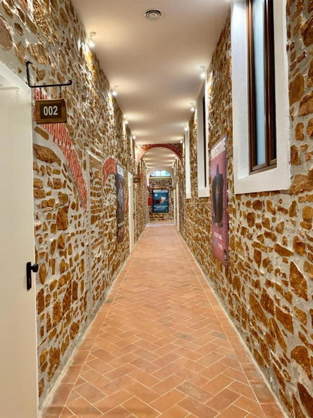 NEW GENERATION HOSTEL Florence, Florence, Italy