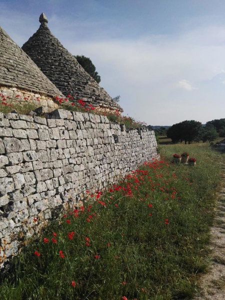 Borgo trulli 1789, Ostuni, Italy