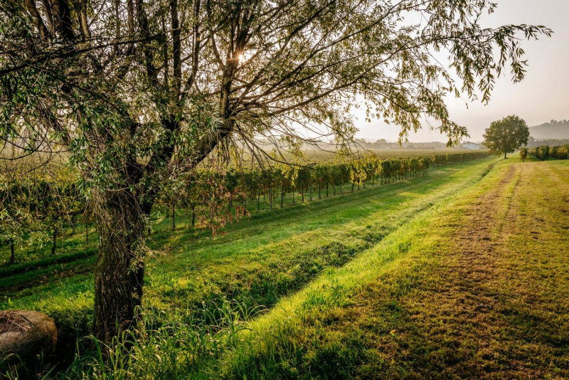 Villa Clementina - Prosecco Country Hotel, San Pietro di Feletto, Italy