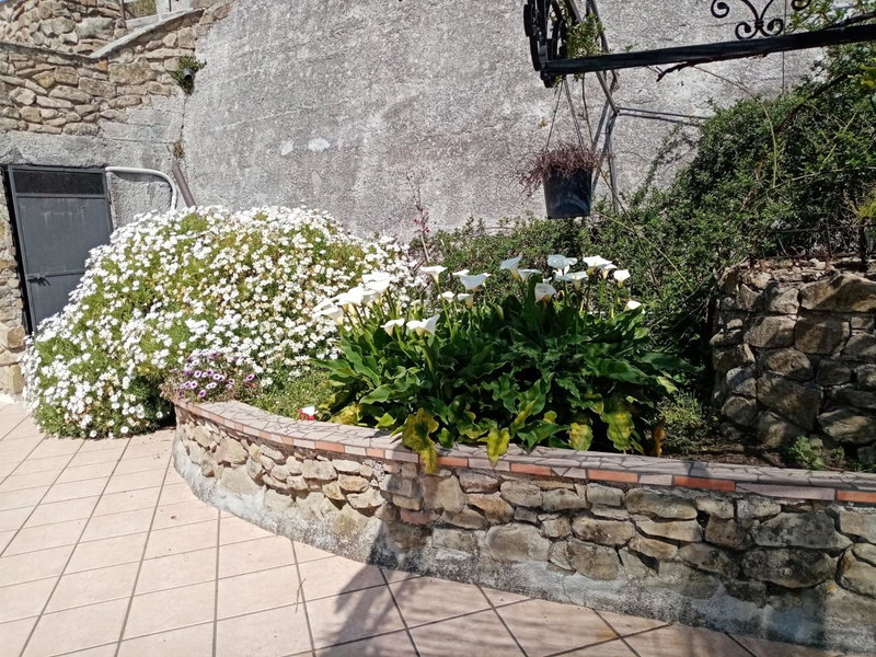 La vecchia fattoria, Salerno, Italy