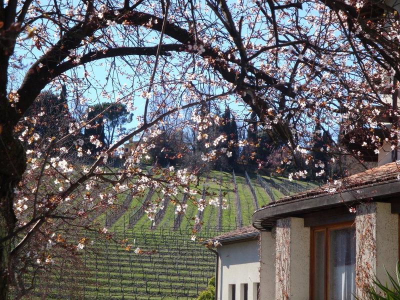Sporting Hotel Ragno D'oro, Conegliano, Italy
