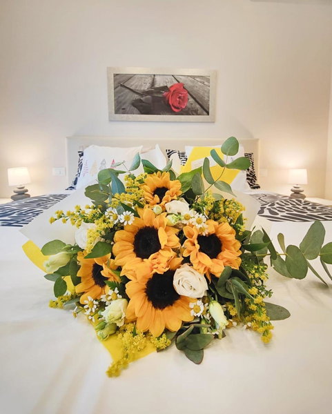 Florence Comfort B&B, Florence, Italy