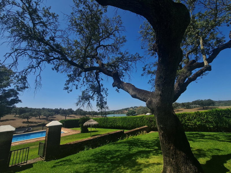 Alojamiento Rural Finca Barral, Seville, Spain