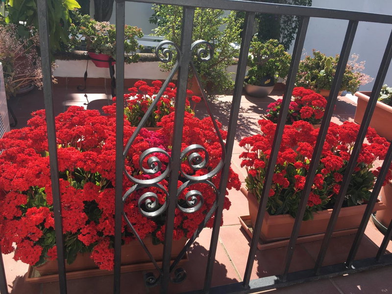Pensión Aduar, Marbella, Spain