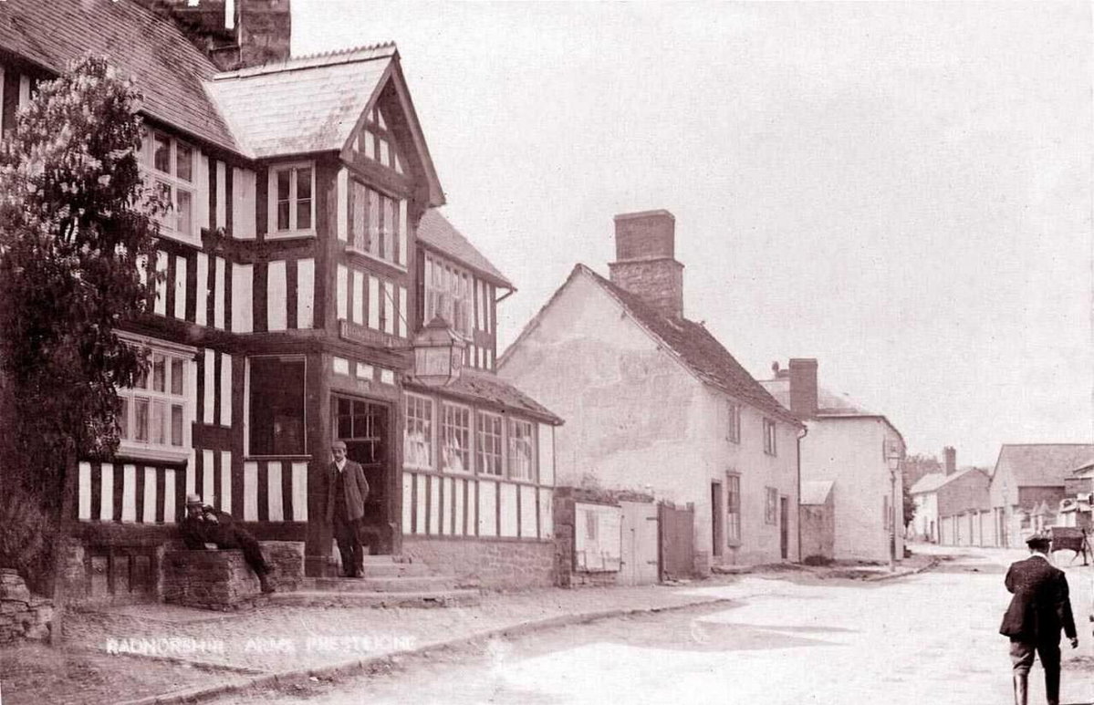Hotel · The Radnorshire Arms Hotel, Presteigne