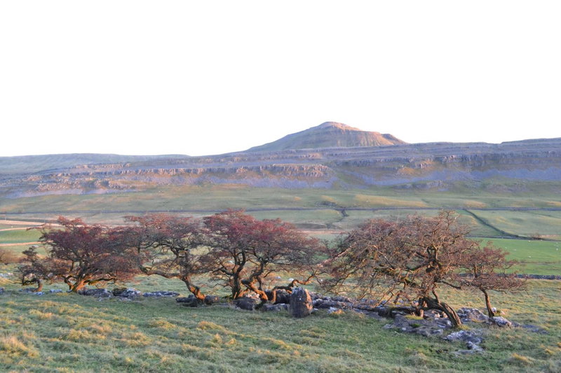 Dalecote Barn Bed & Breakfast, Ingleton, United Kingdom