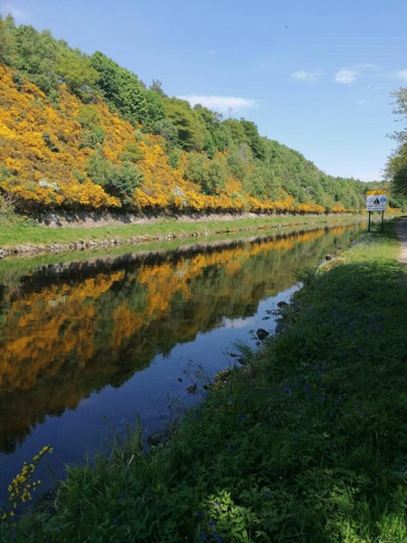 The Coo's Guest House, Inverness, United Kingdom