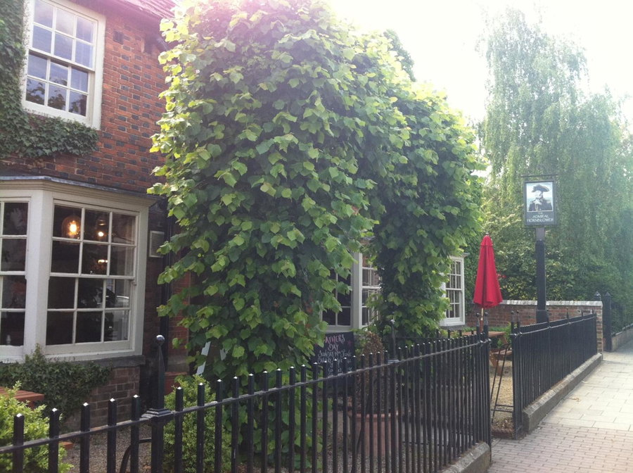 The Admiral Hornblower, Oakham, United Kingdom