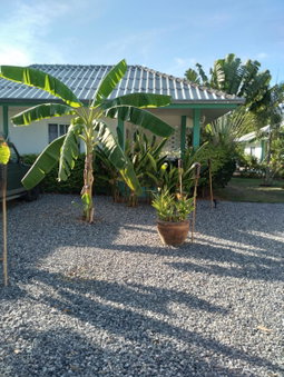 Sunya Cottage, Lamai, Thailand