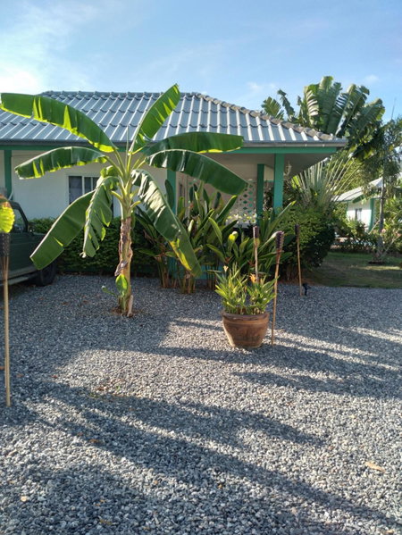 Sunya Cottage, Lamai, Thailand