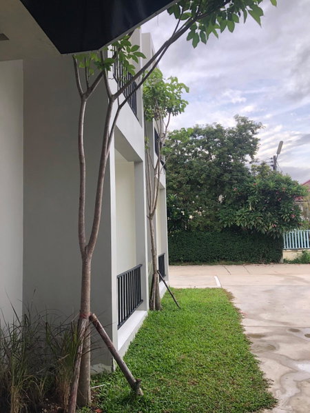 IM Residence Chiangmai, Chiang Mai, Thailand