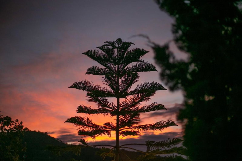 Papa Garden Khaokho, Khao Kho, Thailand
