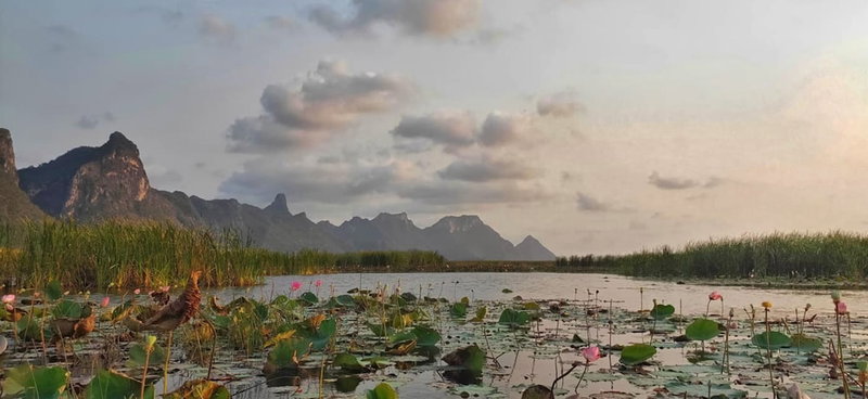 Namaste Resort, Sam Roi Yot, Thailand