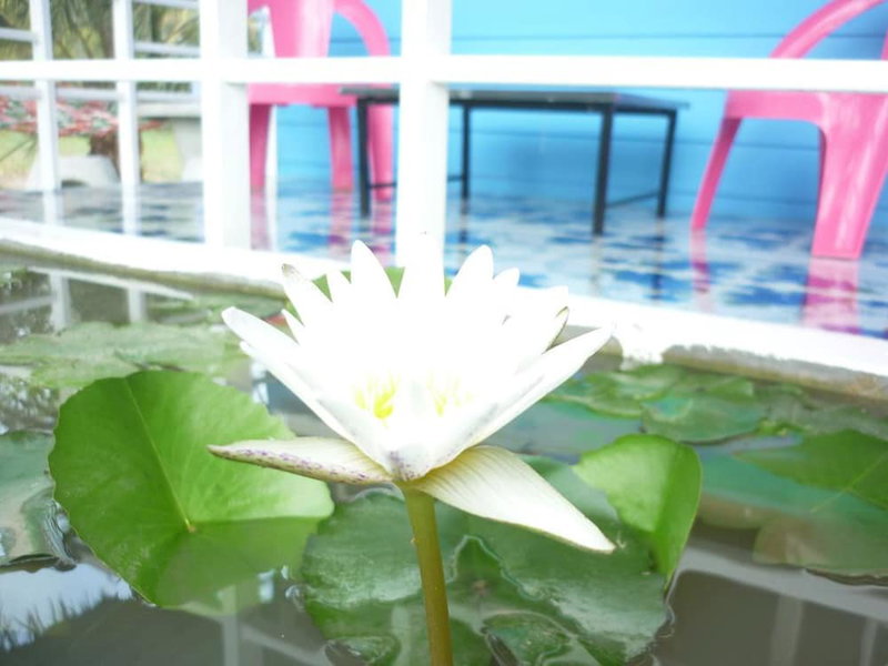 Maneemudjalin Resorts Farm Stay, Sam Roi Yot, Thailand