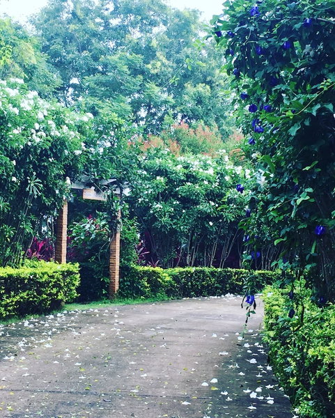 Khaoyai Nature Retreat, Pak Chong, Thailand