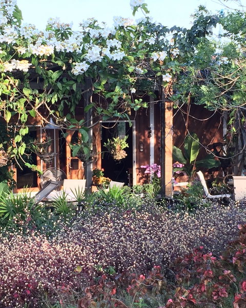 Khaoyai Nature Retreat, Pak Chong, Thailand