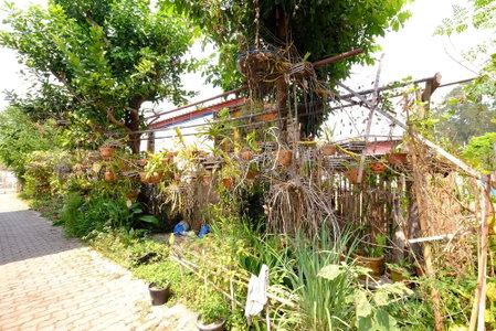 Ban Muang Pon Home Stay, Khun Yuam, Thailand