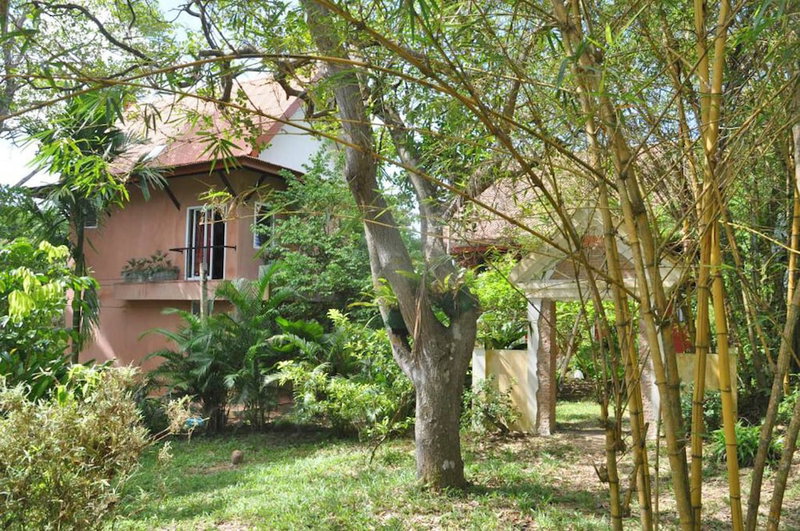 Piman Pu, Nuea Khlong, Thailand