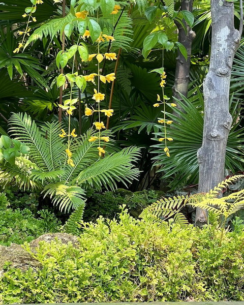 Rarin Villas, Chiang Mai, Thailand