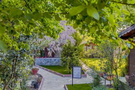 Ağva Park Mandalin Hotel - Adult Only, Sile, Turkey