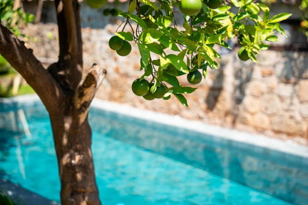 House 5 Hotel, Antalya, Turkey