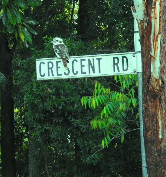 Eumundi Cottage in Town, Eumundi, Australia