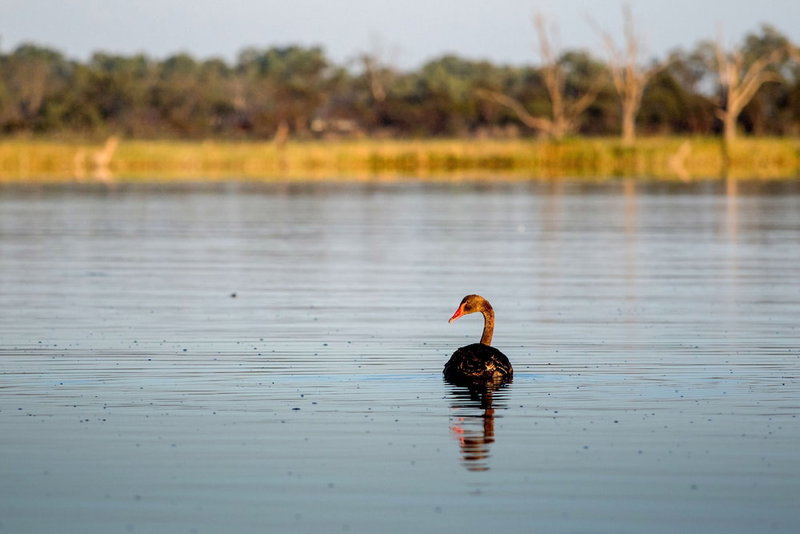 Discovery Parks - Lake Bonney, Barmera, Australia