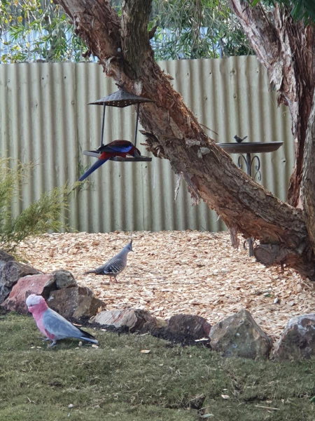 Ronelle Cottage, Berrima, Australia