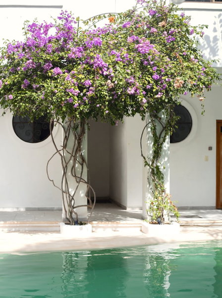 Sonido Del Mar Hotel and Yoga Loft, Tulum, Mexico