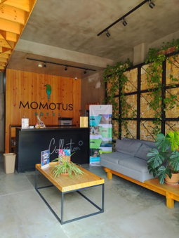 Hotel Momotus Tuxtla, en el centro - Acceso autónomo, Tuxtla Gutiérrez, Mexico