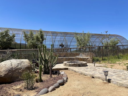 Coquenas del Valle, Valle de Guadalupe, Mexico