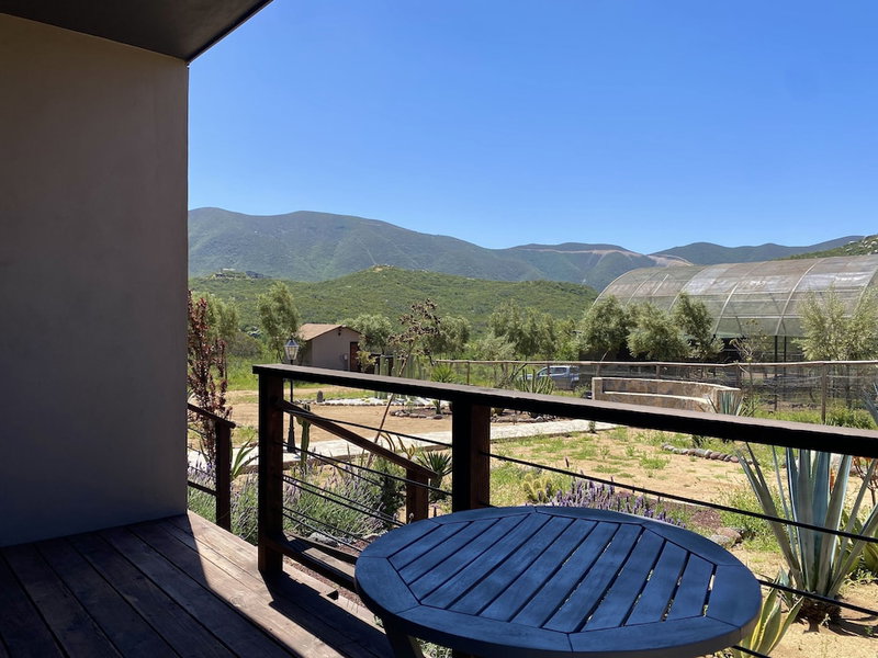 Coquenas del Valle, Valle de Guadalupe, Mexico