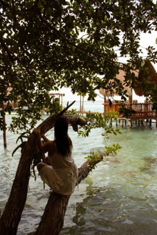 Aurea Bacalar, Bacalar, Mexico
