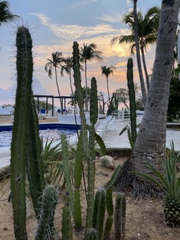 Hotel Villa Mexicana Puerto Escondido, Puerto Escondido, Mexico