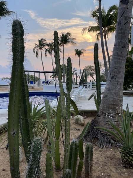 Hotel Villa Mexicana Puerto Escondido, Puerto Escondido, Mexico