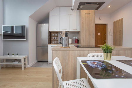 Urban Jungle Apartment in the city center, Białystok, Poland