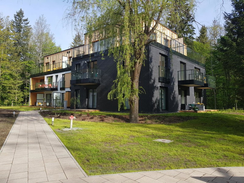 Serce Nieznanego Boru, Lipiny, Poland