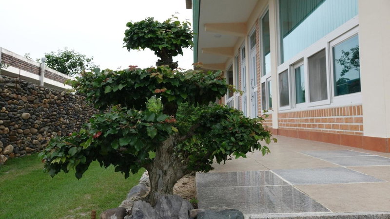 Buan sukranjeong pension, Buan, South Korea